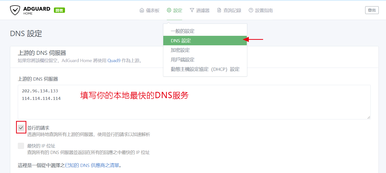 上游DNS设置
